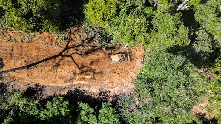 Inscrições abertas para a 15ª Mostra Ecofalante de Cinema