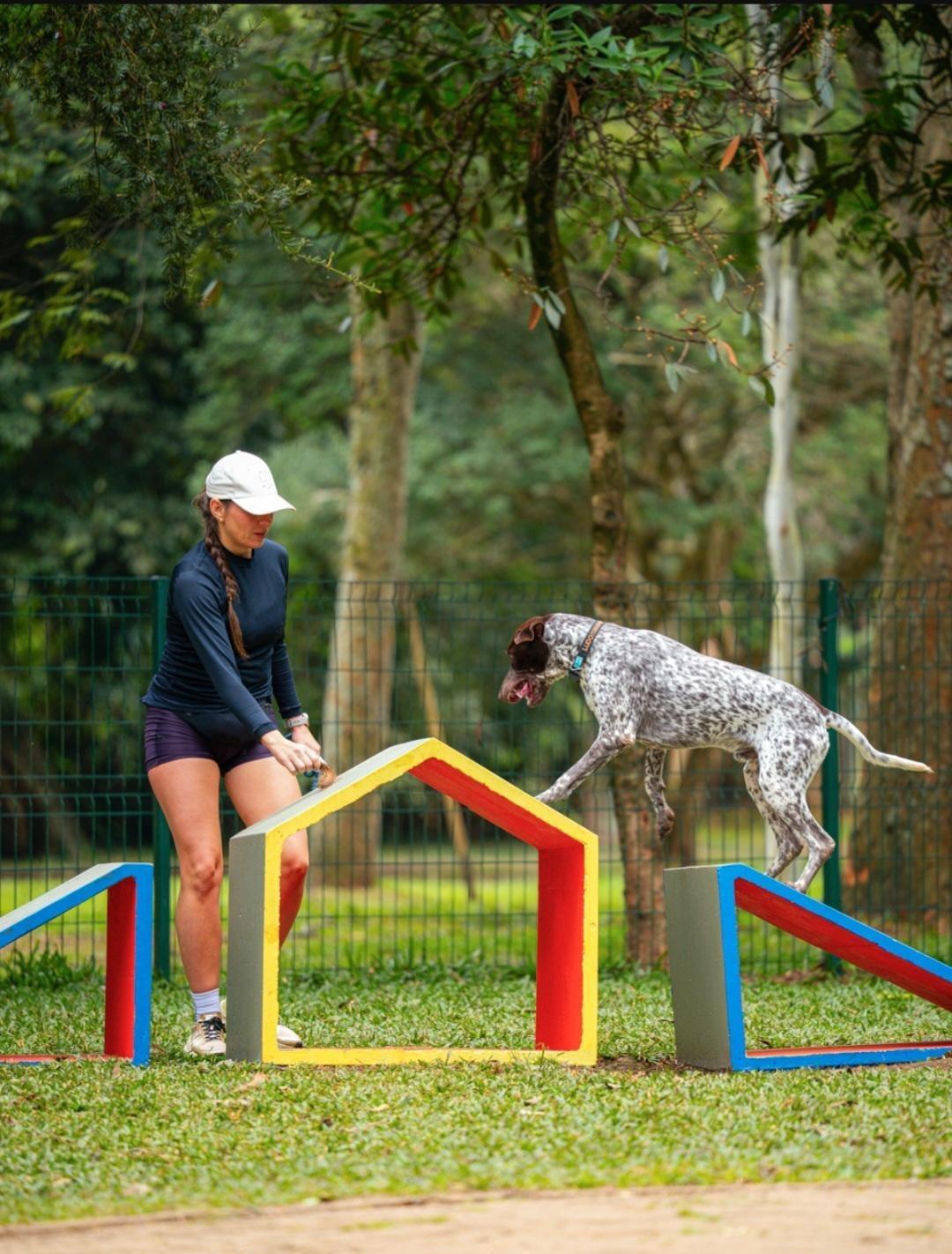 Petz realiza Estação de Verão no Parque Ibirapuera