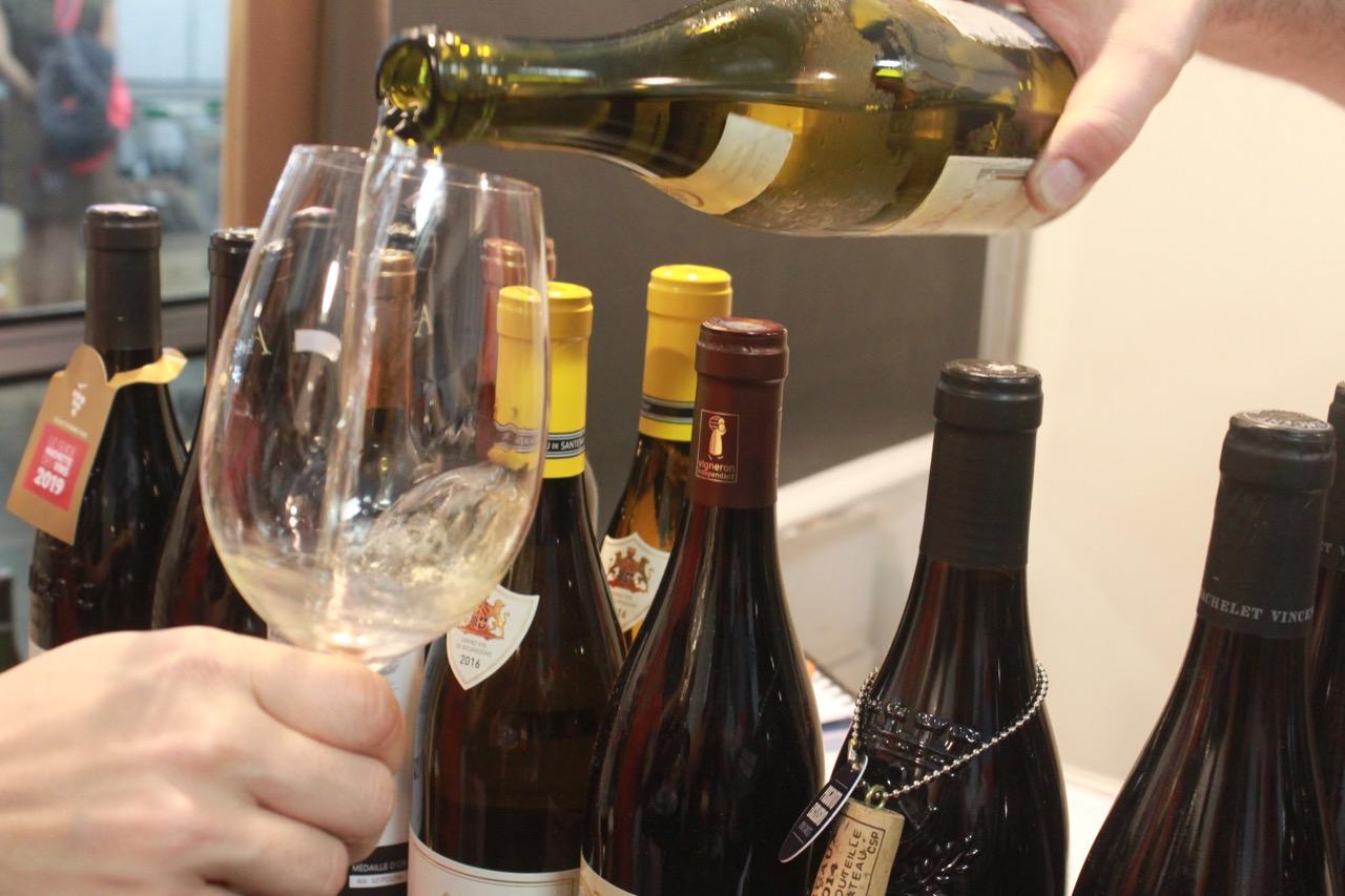 Projeto VIBRA lança curso gratuito para fortalecer cultura do vinho brasileiro a partir de 2026