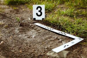 UNESP oferece disciplina inédita no Brasil sobre aplicação da ciência do solo ao contexto de investigações criminais