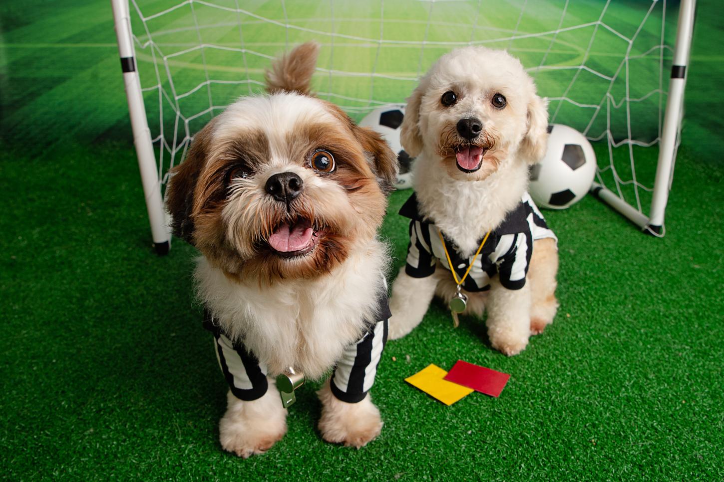 Copa impulsiona consumo e abre oportunidades para empreendedores de diversos setores