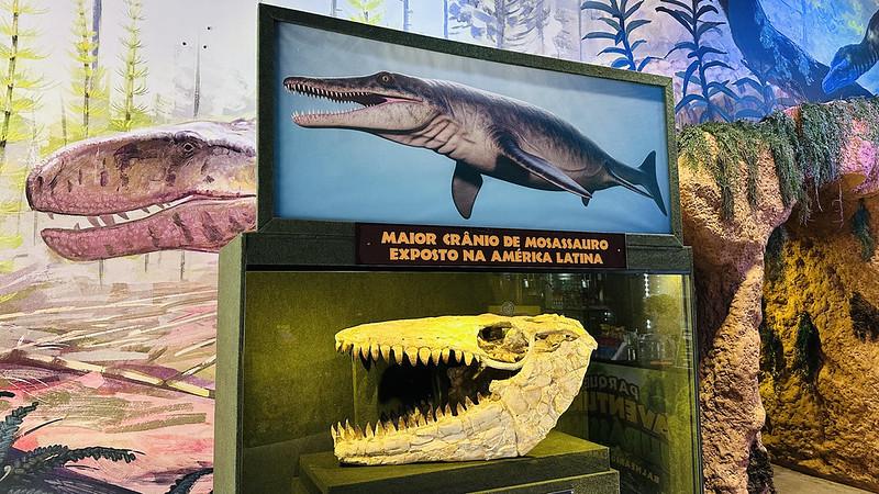 Acervo em parque temático de dinossauro em Santa Catarina reúne fósseis raros e investe em experiências imersivas