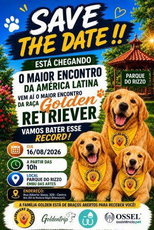 Plataforma convoca tutores de Golden Retrievers para promover o maior encontro da raça na América Latina