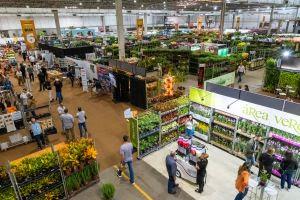 Veiling Holambra traz as novidades e tendências em flores e plantas para a Primavera, Finados e festas de fim de ano