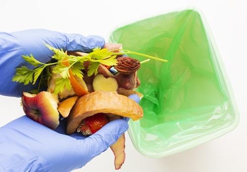Fome e desperdício de alimentos acendem alerta para a saúde e a sustentabilidade