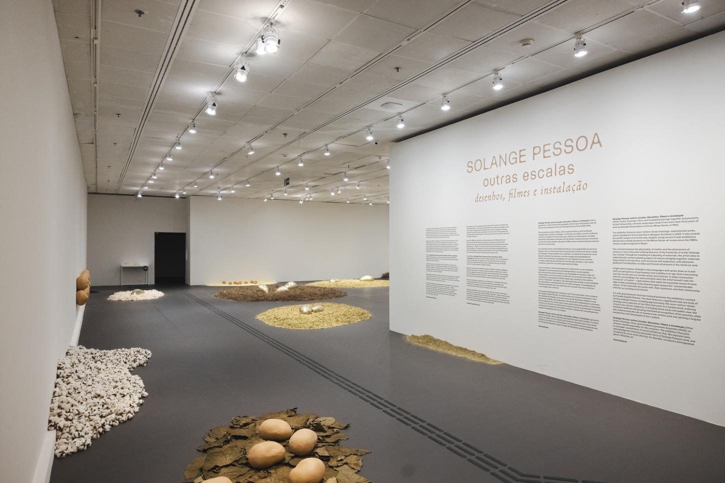 Itaú Cultural promove encontro com professores inspirado na obra da artista visual mineira Solange Pessoa