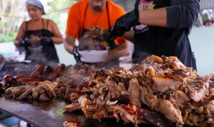  48ª Festa da Amizade do Pequeno Cotolengo celebra inclusão, solidariedade e música em Cotia