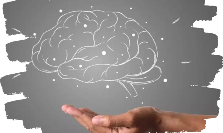 7 mentiras que te contaram sobre o cérebro