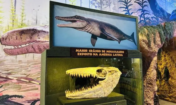 Acervo em parque temático de dinossauro em Santa Catarina reúne fósseis raros e investe em experiências imersivas