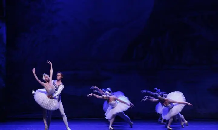 Ballet Clássico de São Petersburgo apresenta “O Lago dos Cisnes” em sessão única em São Paulo
