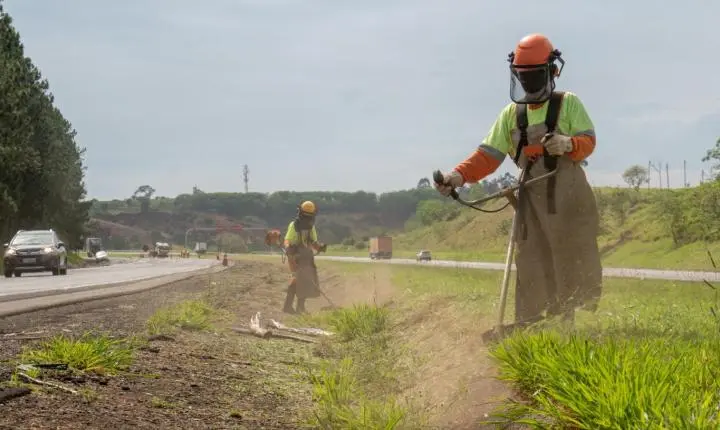 Cronograma semanal de obras na Fernão Dias, no Estado de São Paulo