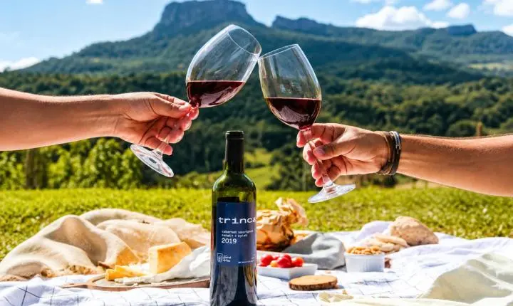 Enoturismo ganha força na Serra da Mantiqueira e amplia oportunidades para vinícolas, gastronomia e hotelaria