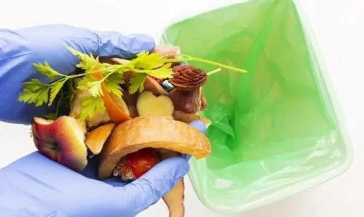 Fome e desperdício de alimentos acendem alerta para a saúde e a sustentabilidade