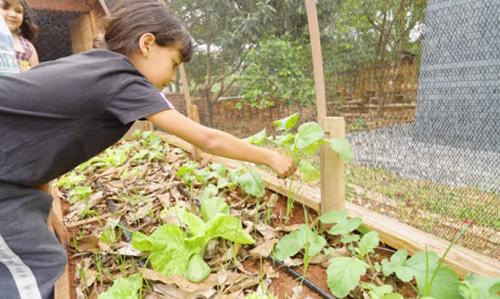 Instituto Motiva e concessionária Rodoanel Oeste lançam curso gratuito sobre adaptação climática nas escolas