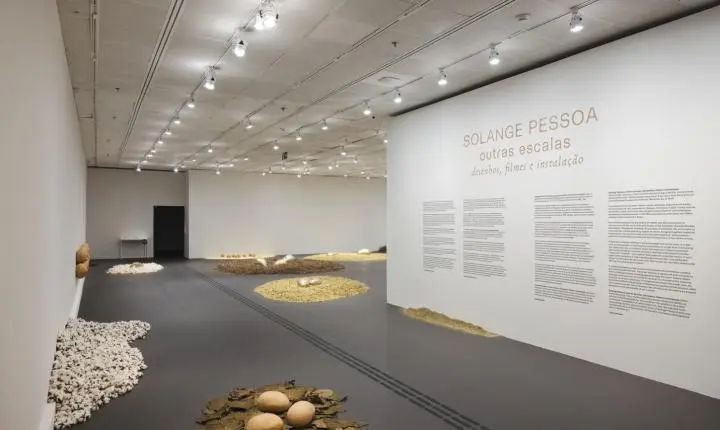Itaú Cultural promove encontro com professores inspirado na obra da artista visual mineira Solange Pessoa