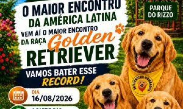 Plataforma convoca tutores de Golden Retrievers para promover o maior encontro da raça na América Latina