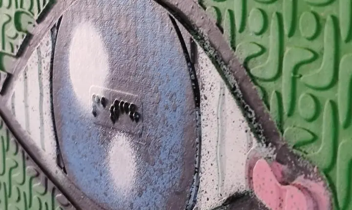 Projeto transforma murais em experiências acessíveis e amplia inclusão na arte urbana