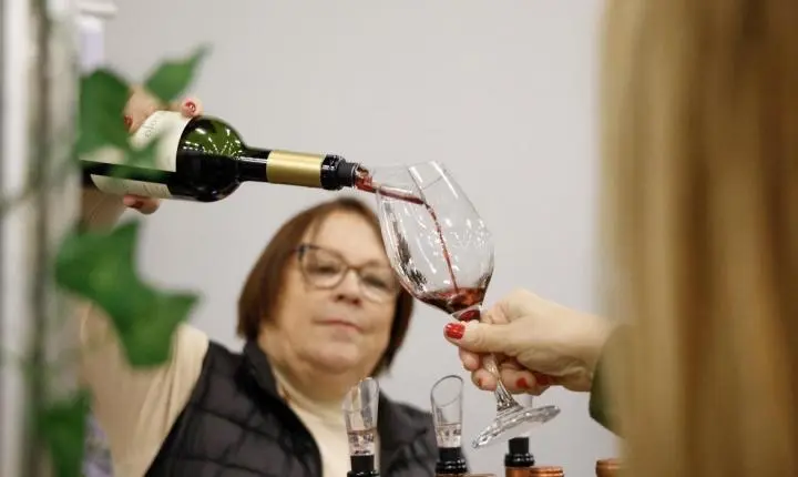 São José dos Campos recebe festival voltado para enogastronomia neste final de semana