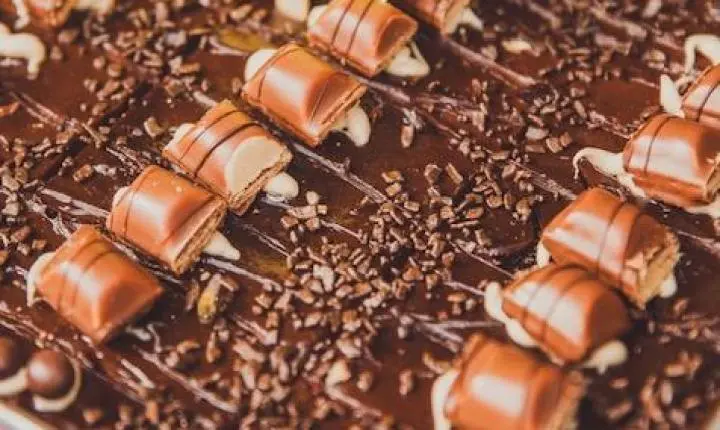 São José dos Campos recebe Mercado Místico e três festivais gastronômicos no feriado de setembro