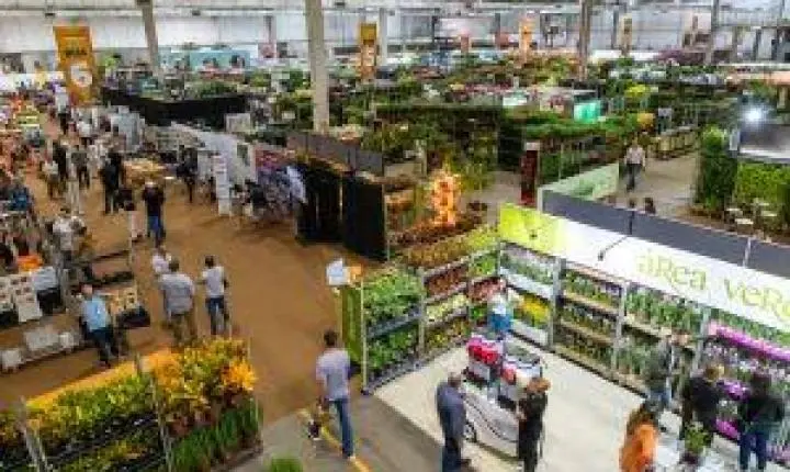 Veiling Holambra traz as novidades e tendências em flores e plantas para a Primavera, Finados e festas de fim de ano